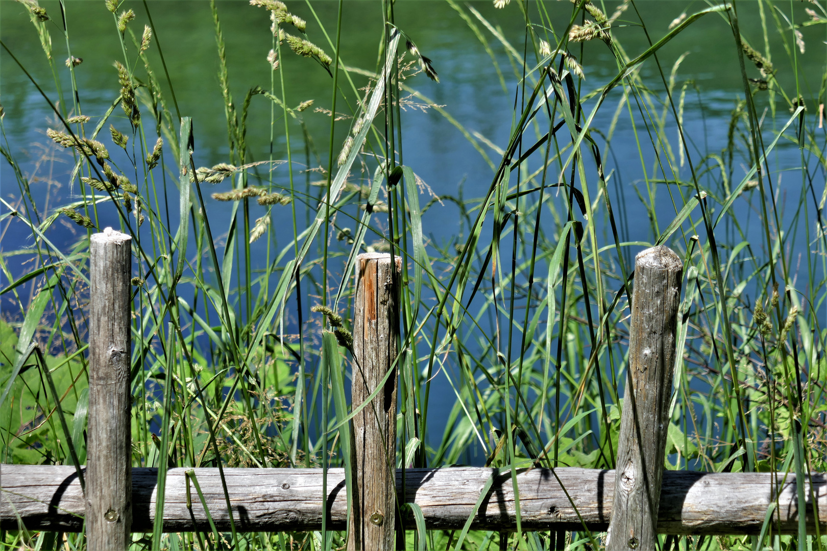 Am Teich