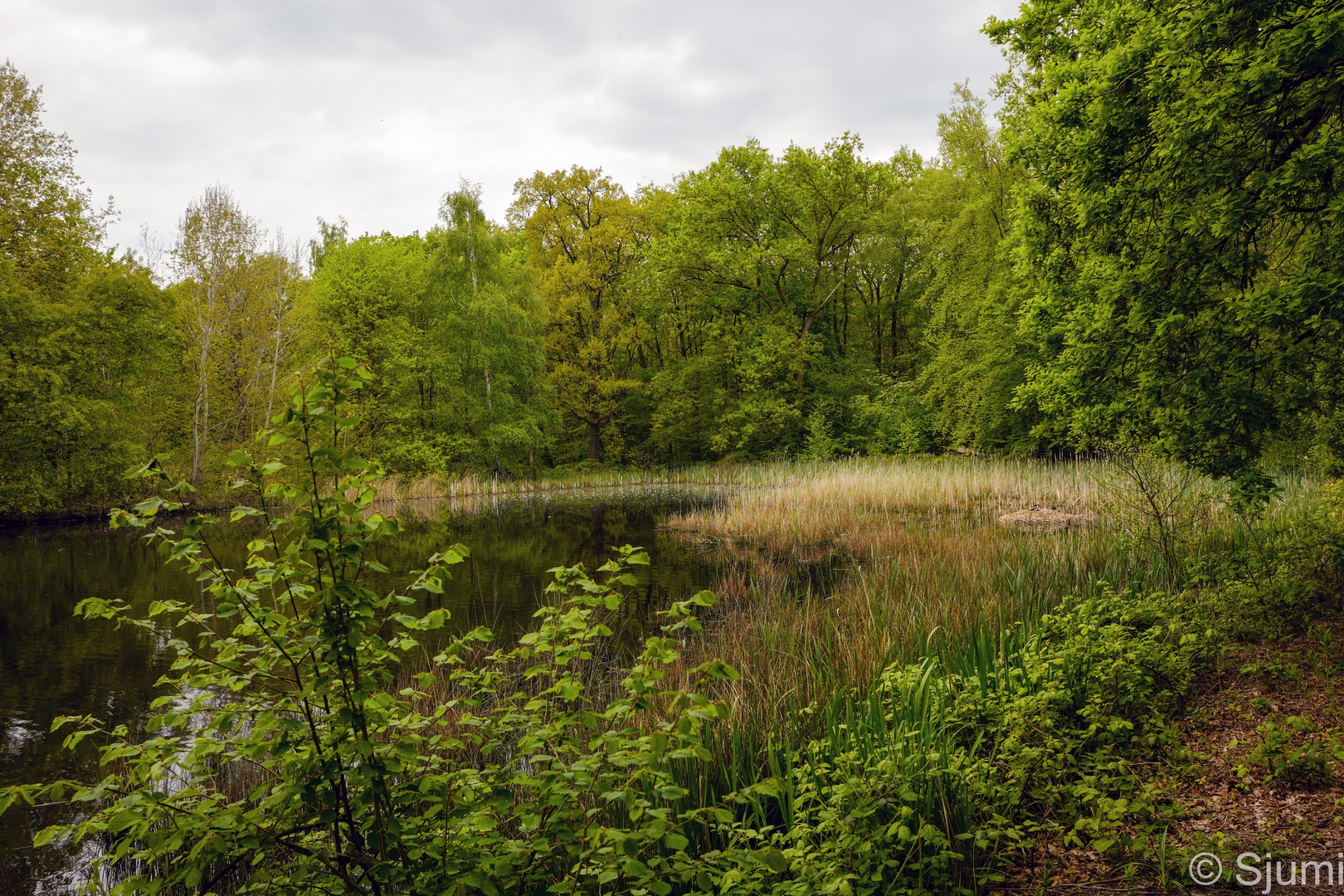 Am Teich Foto & Bild teich, natur, see Bilder auf