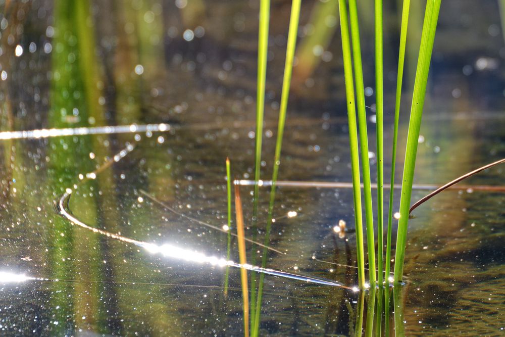 Am Teich 7