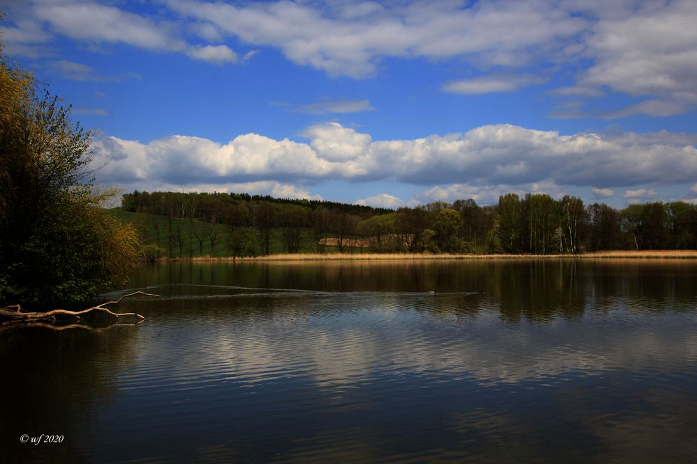 Am Teich