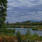 Am Teich