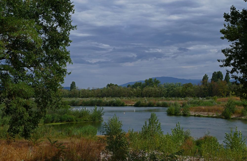 Am Teich