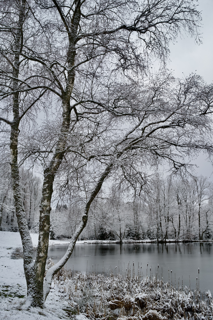 Am Teich