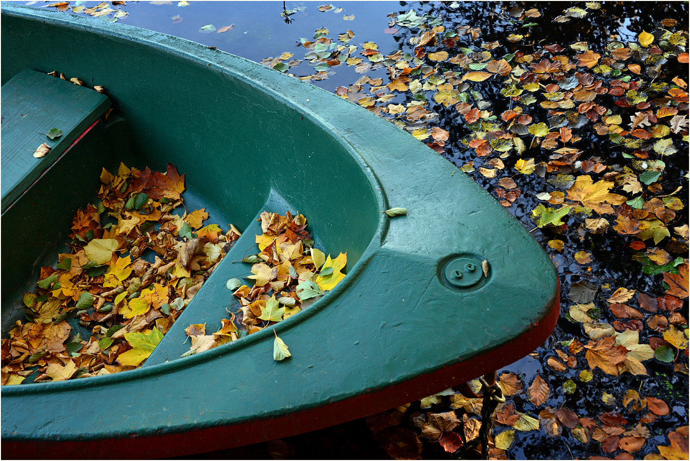 Am Teich