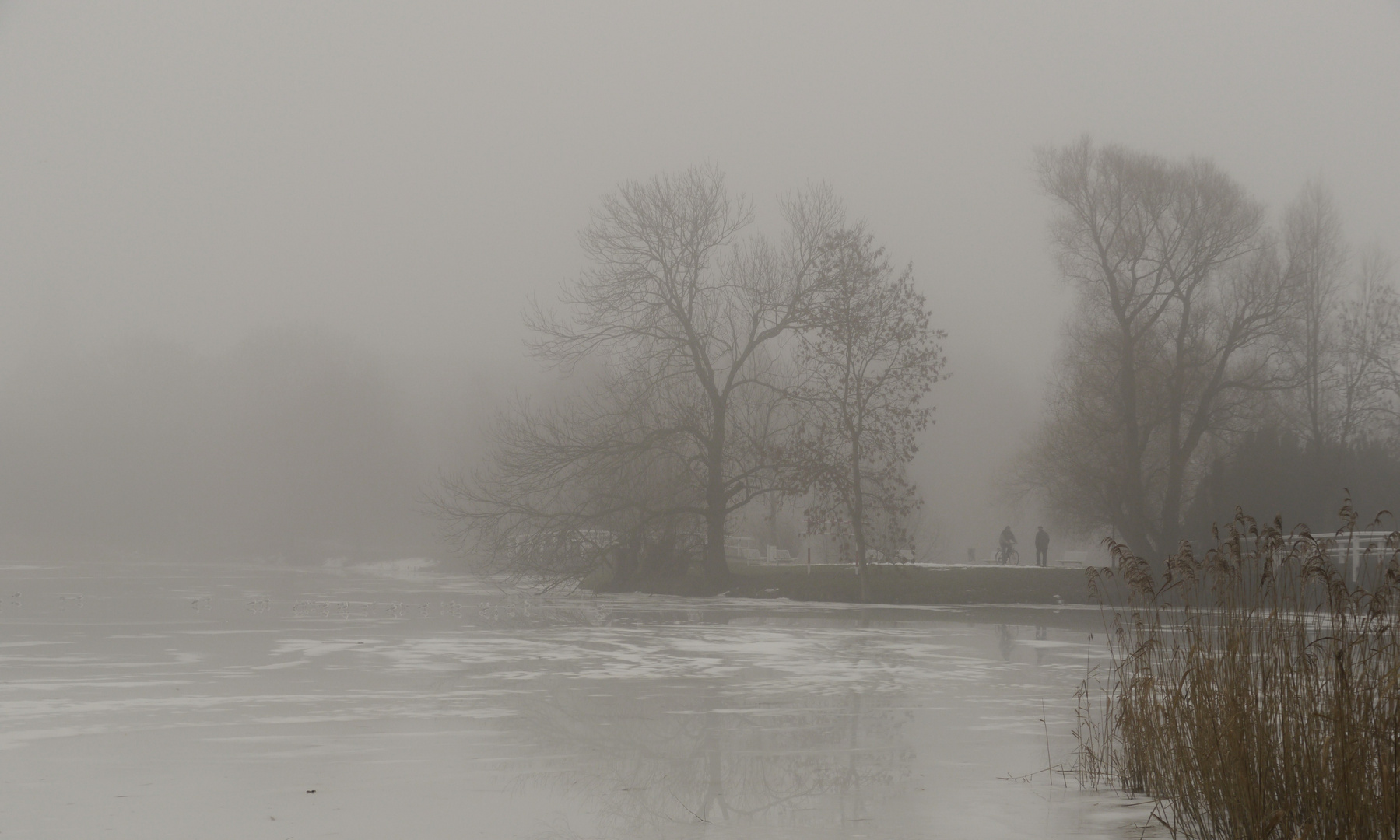 Am Teich