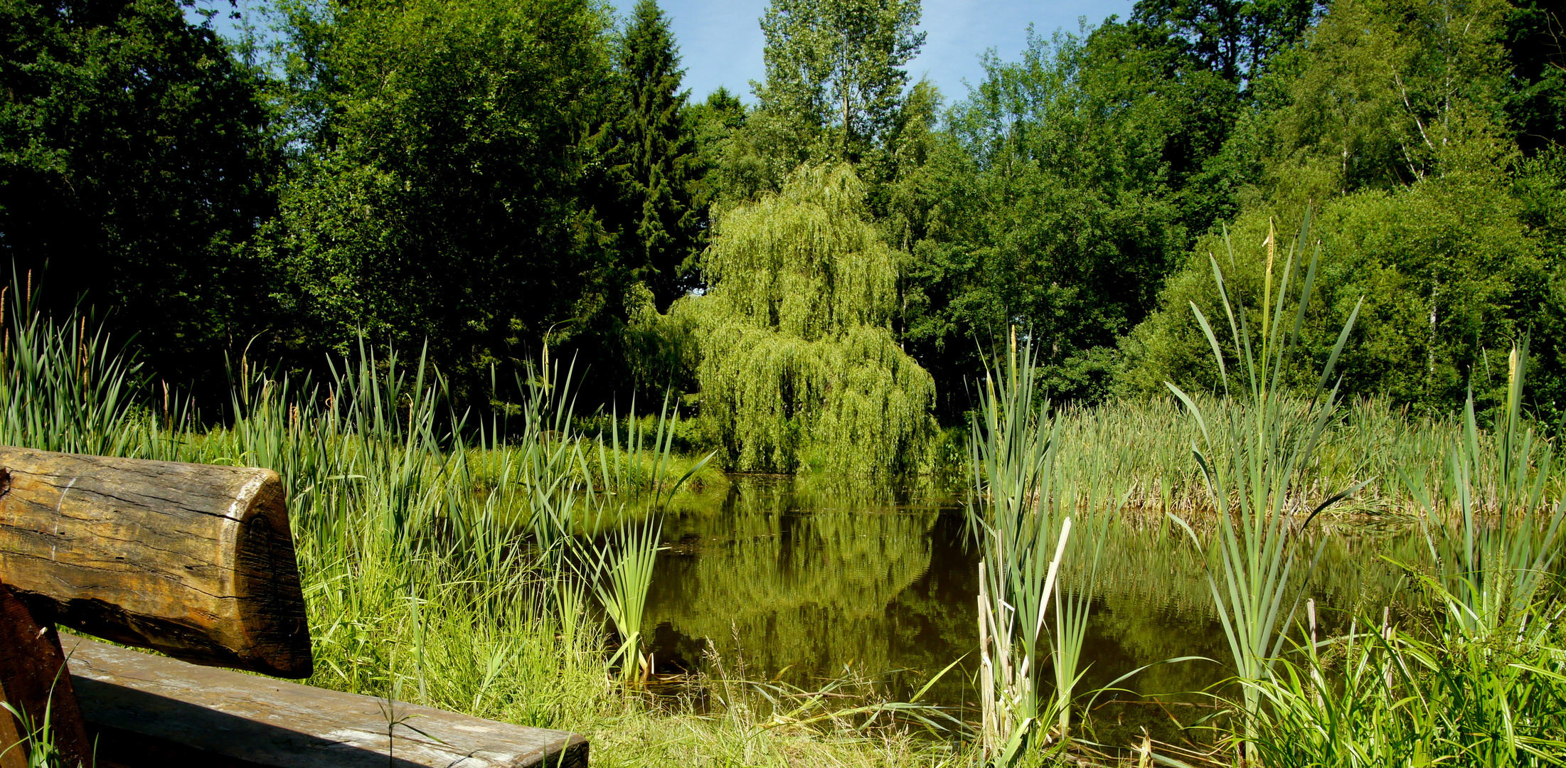 Am Teich Foto & Bild outdoor, natur, landschaft Bilder auf