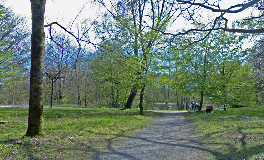 Am Teich Foto & Bild jahreszeiten, frühling, bäume Bilder auf