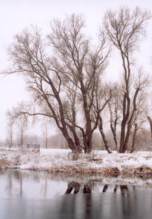 Am Teich