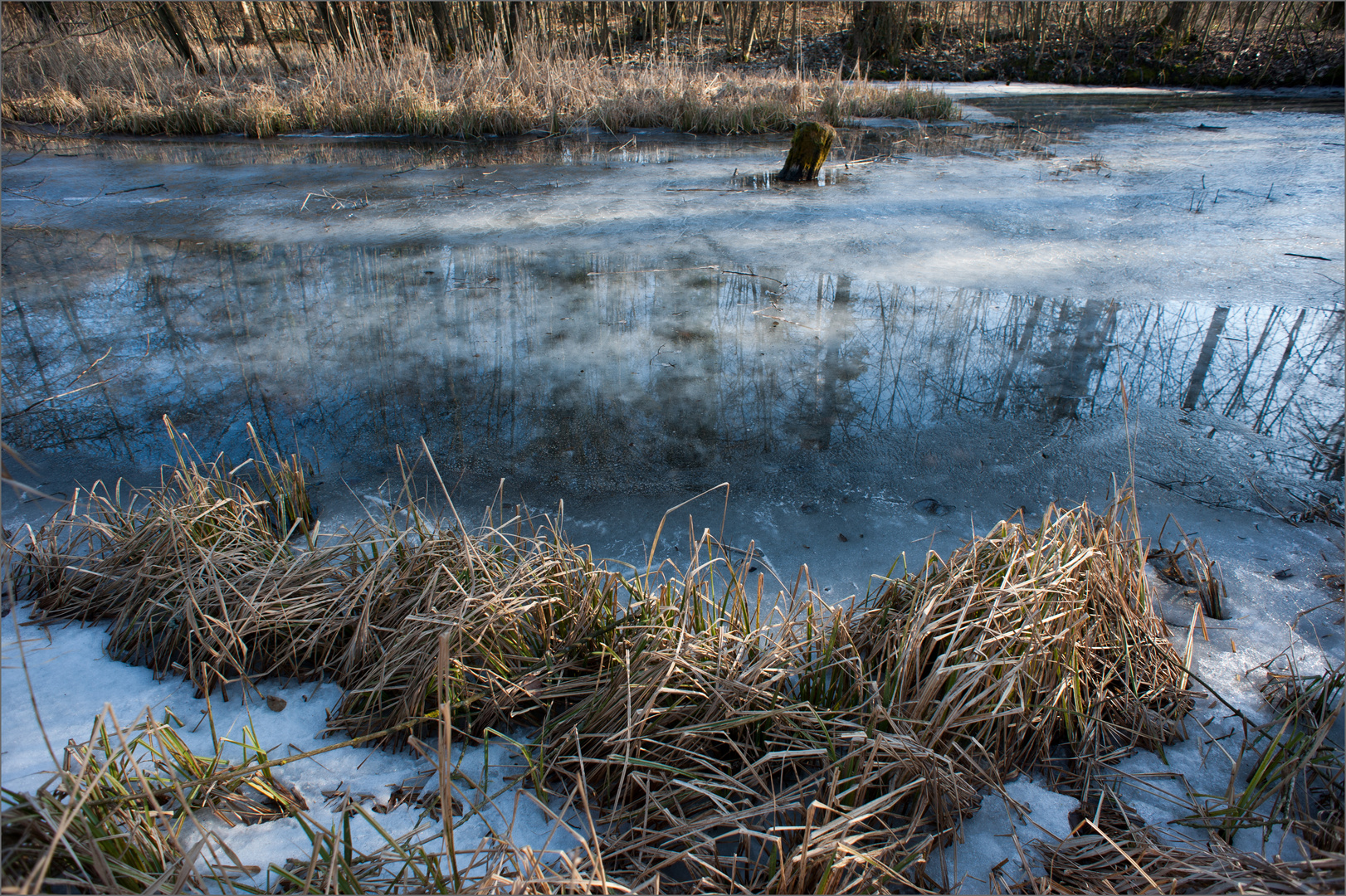 Am Teich