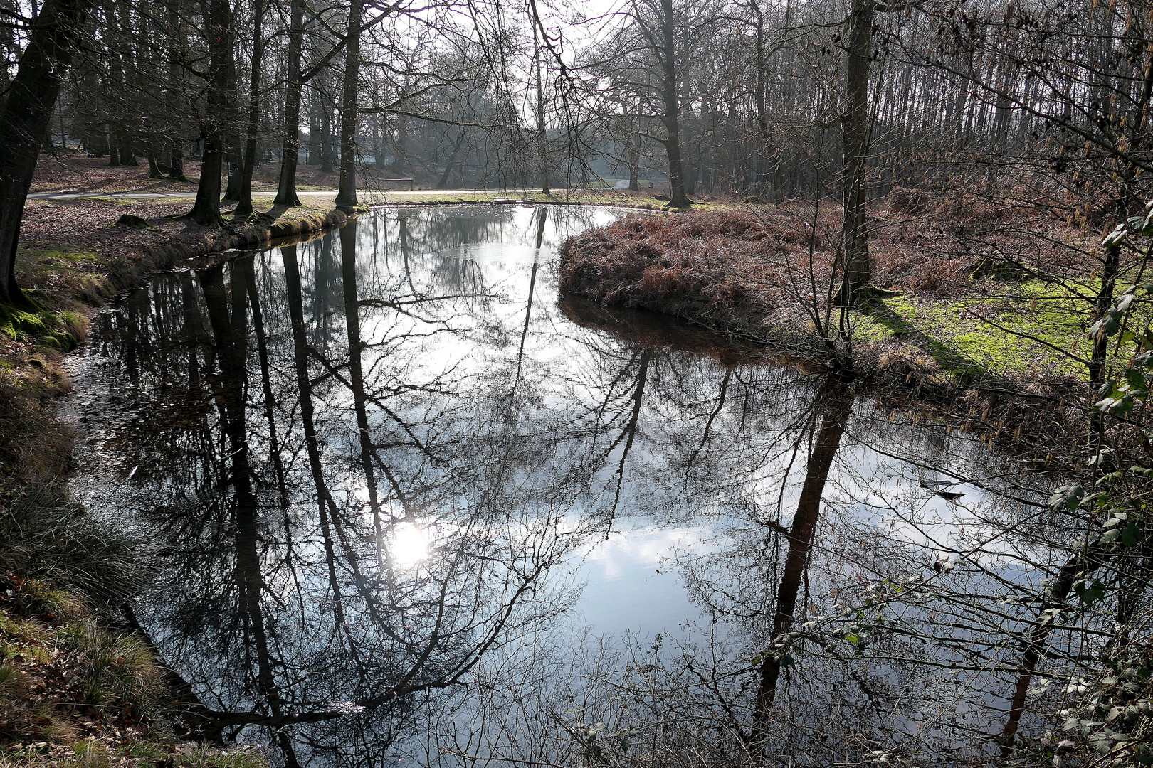 Am Teich