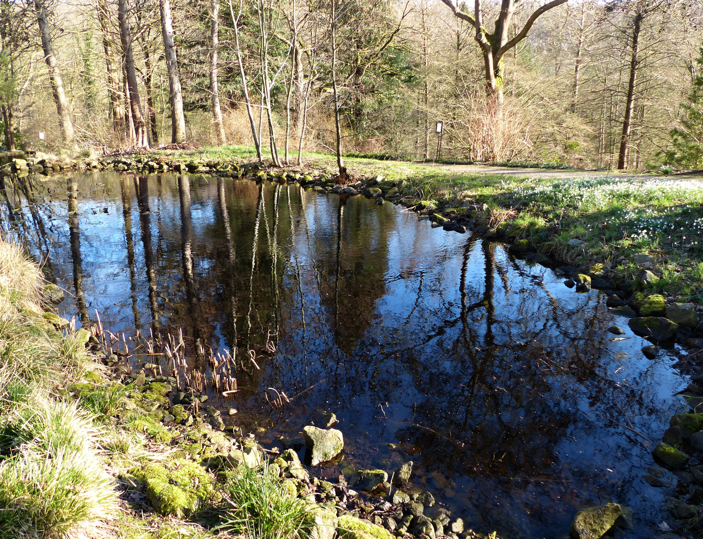 am Teich