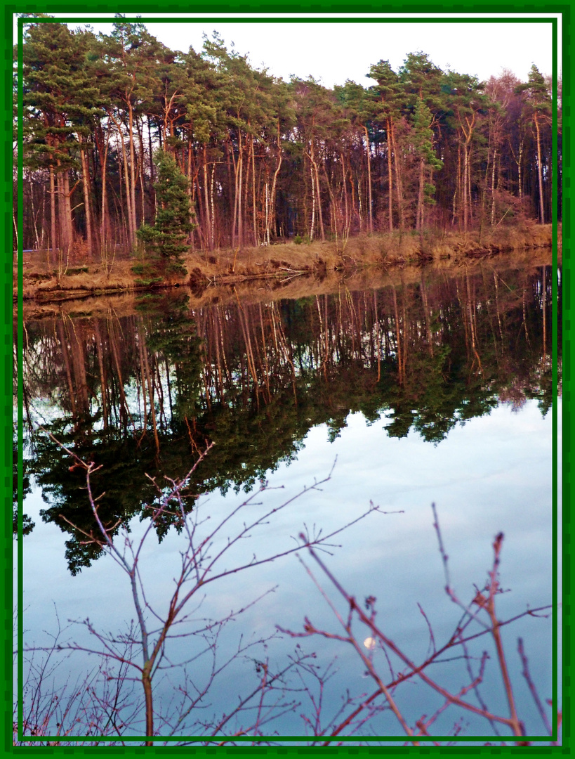 Am Teich