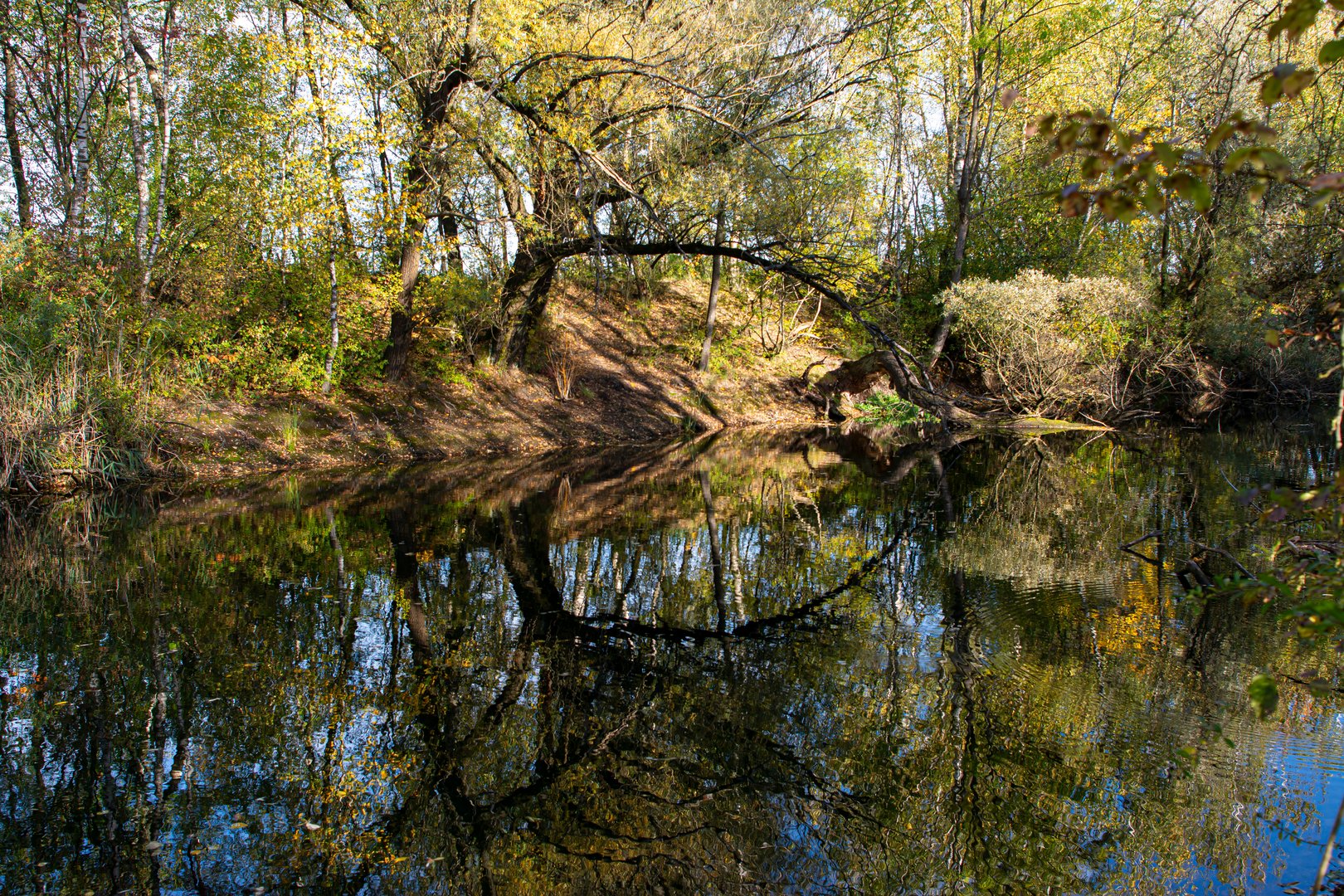 Am Teich