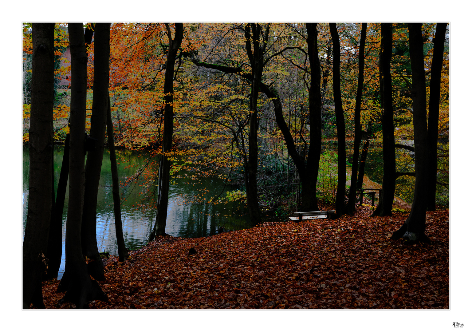 am Teich Foto & Bild landschaft, jahreszeiten, herbst Bilder auf