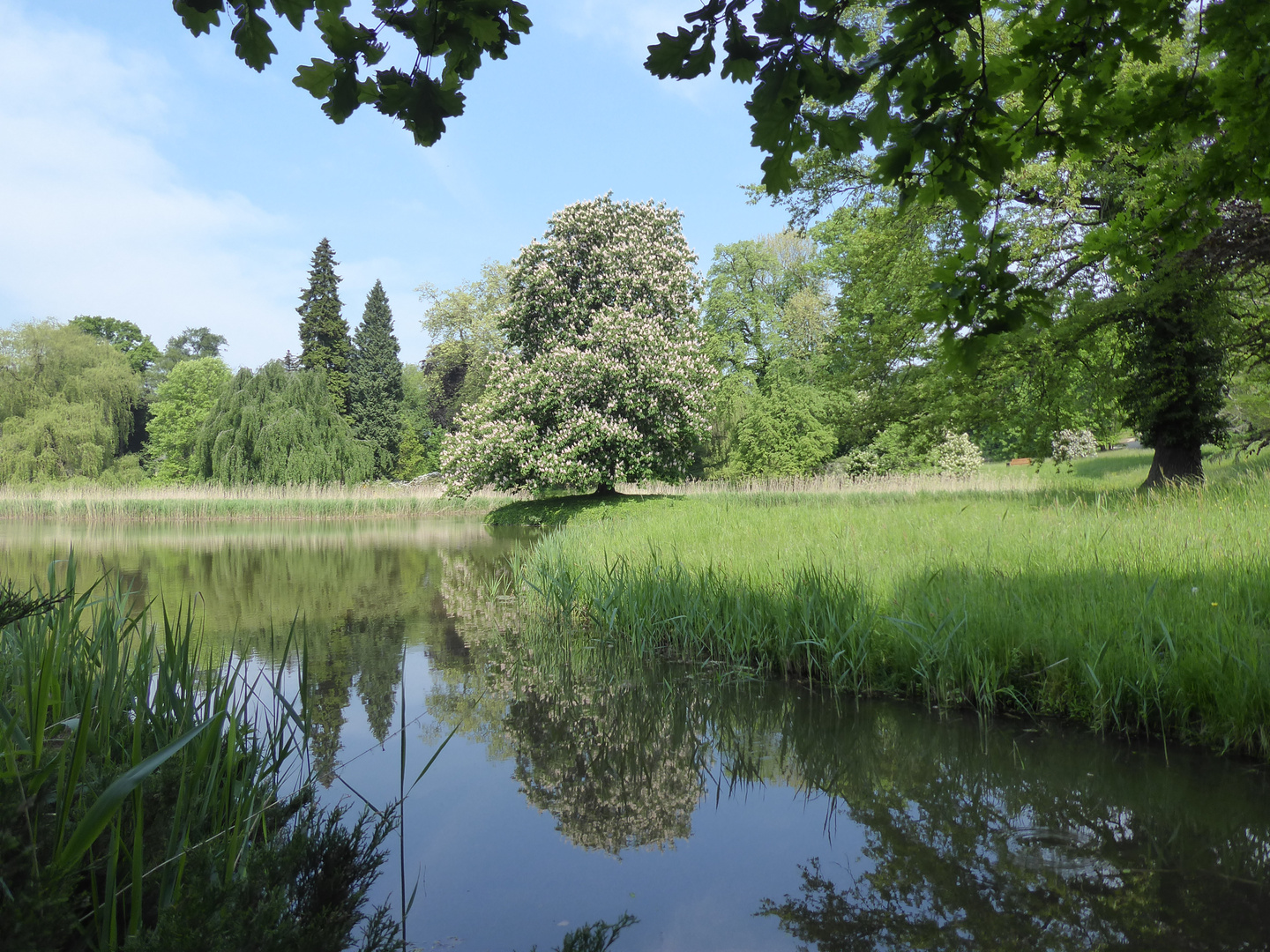 Am Teich Foto & Bild landschaft, garten & parklandschaften, projekte