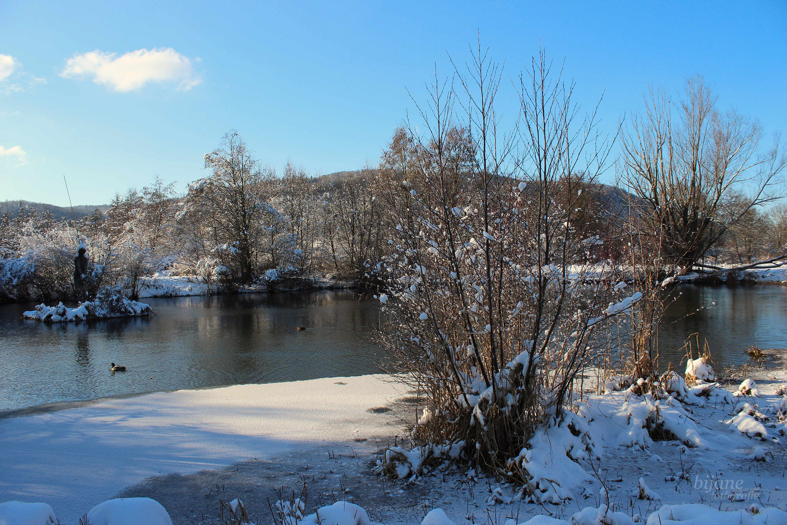 Am Teich