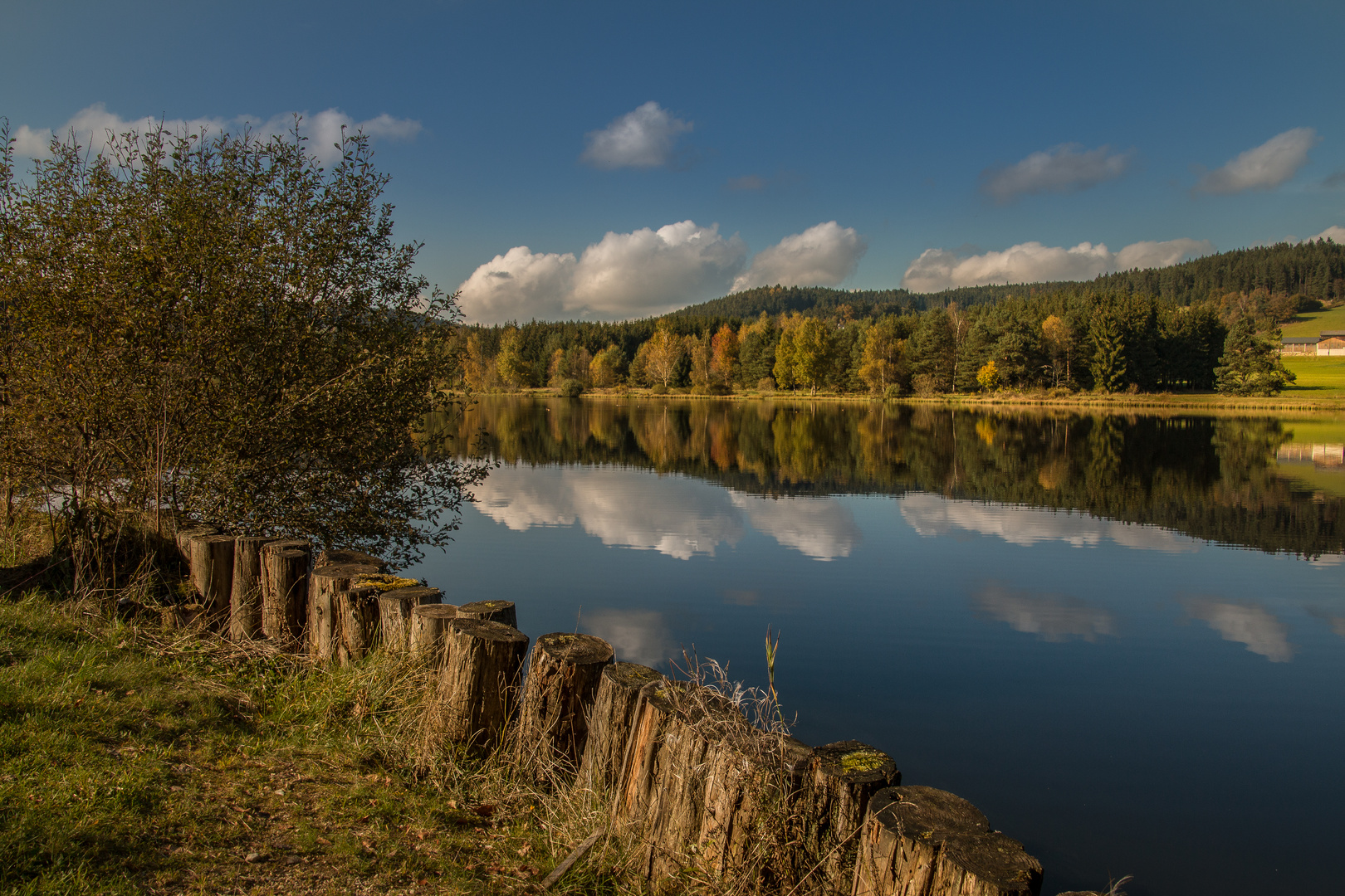 Am Teich