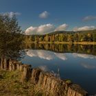 Am Teich