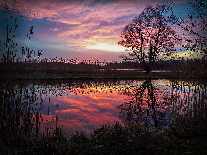 Am Teich