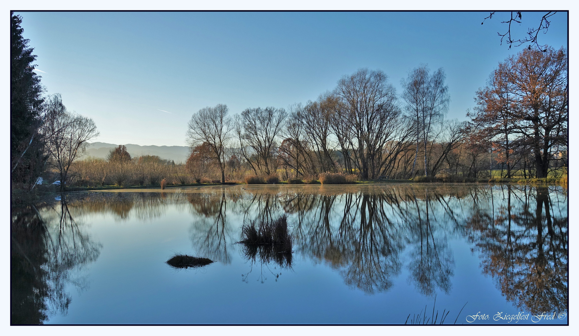 am teich