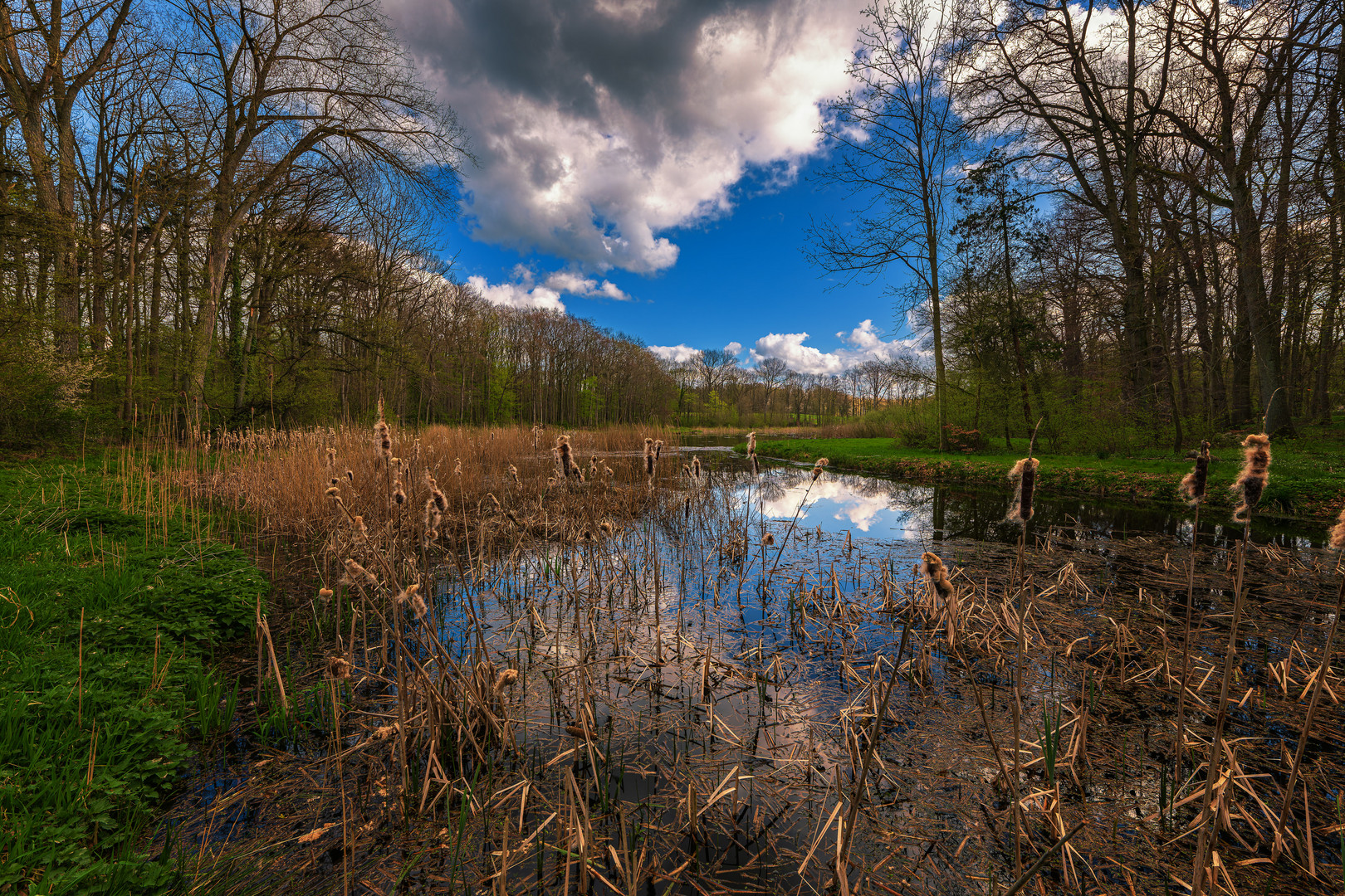 Am Teich