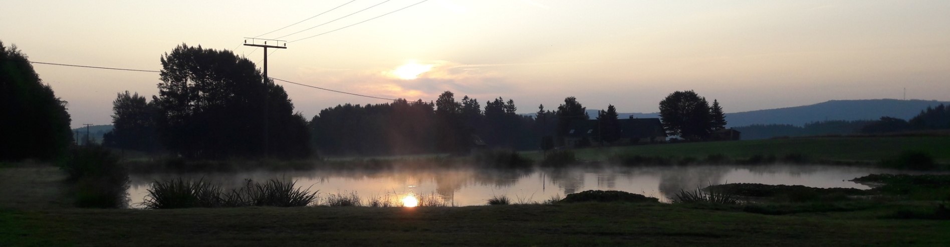 Am Teich  am frühen Morgen 24.8.2019