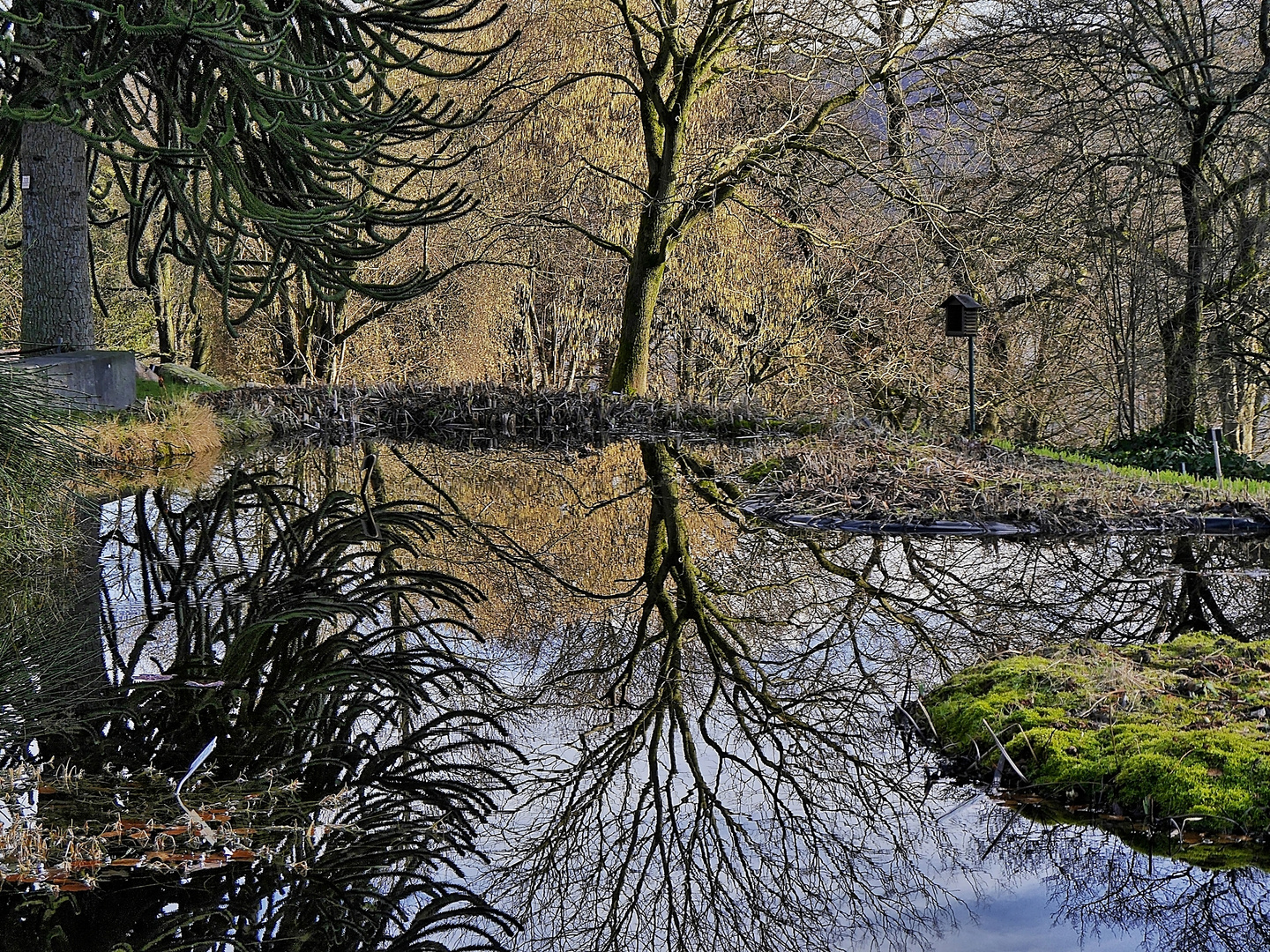 Am Teich ...