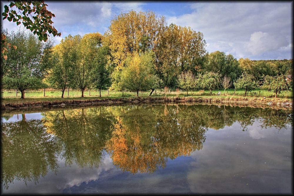 Am Teich Foto & Bild wasser, bäume, teich Bilder auf