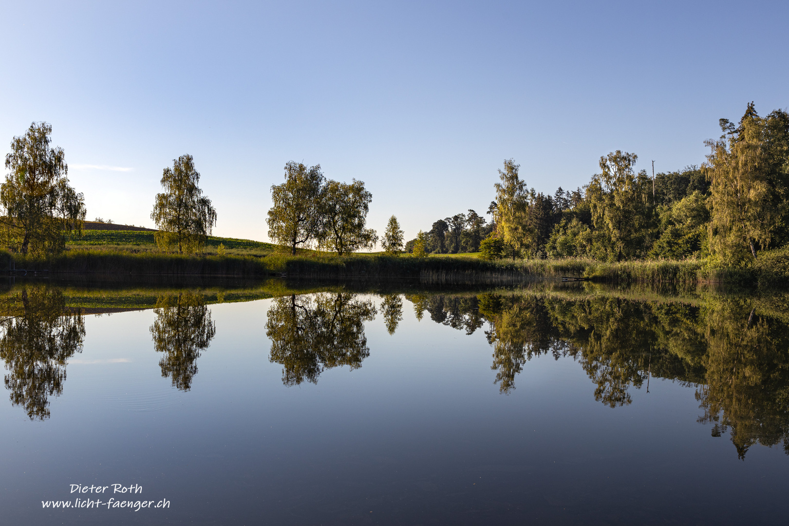 Am Teich