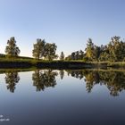 Am Teich