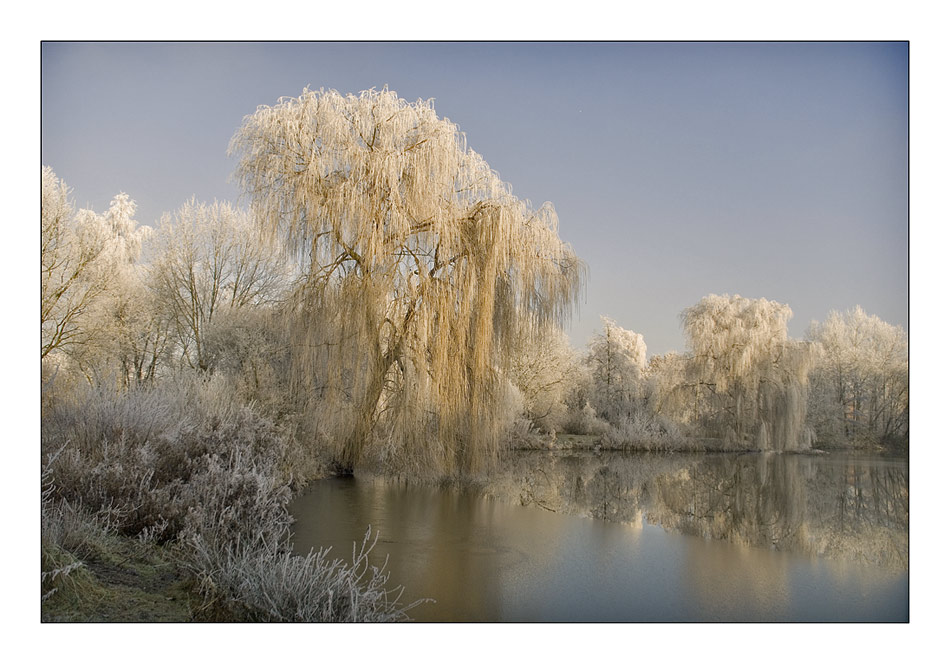 Am Teich