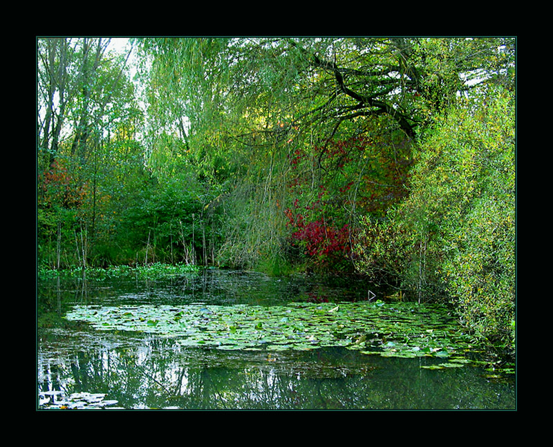 Am Teich