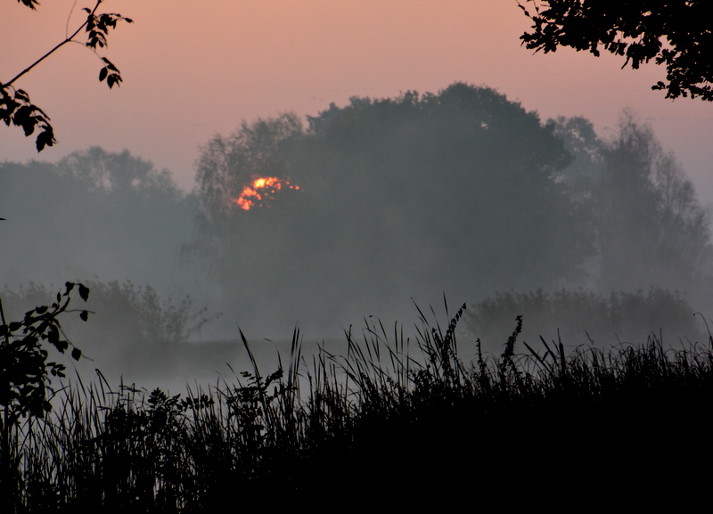 am teich bei aufgehender sonne