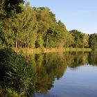 Am Teich bei Belgern