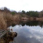 Am Teich bei grauem Regenwetter