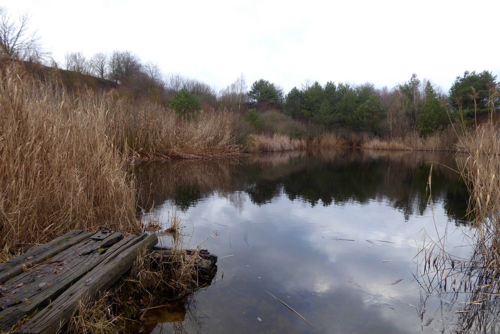 Am Teich bei grauem Regenwetter Foto & Bild landschaft, projekte