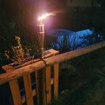 Am Teich bei Nacht