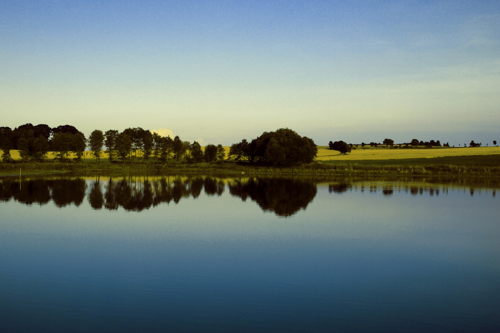 Am Teich