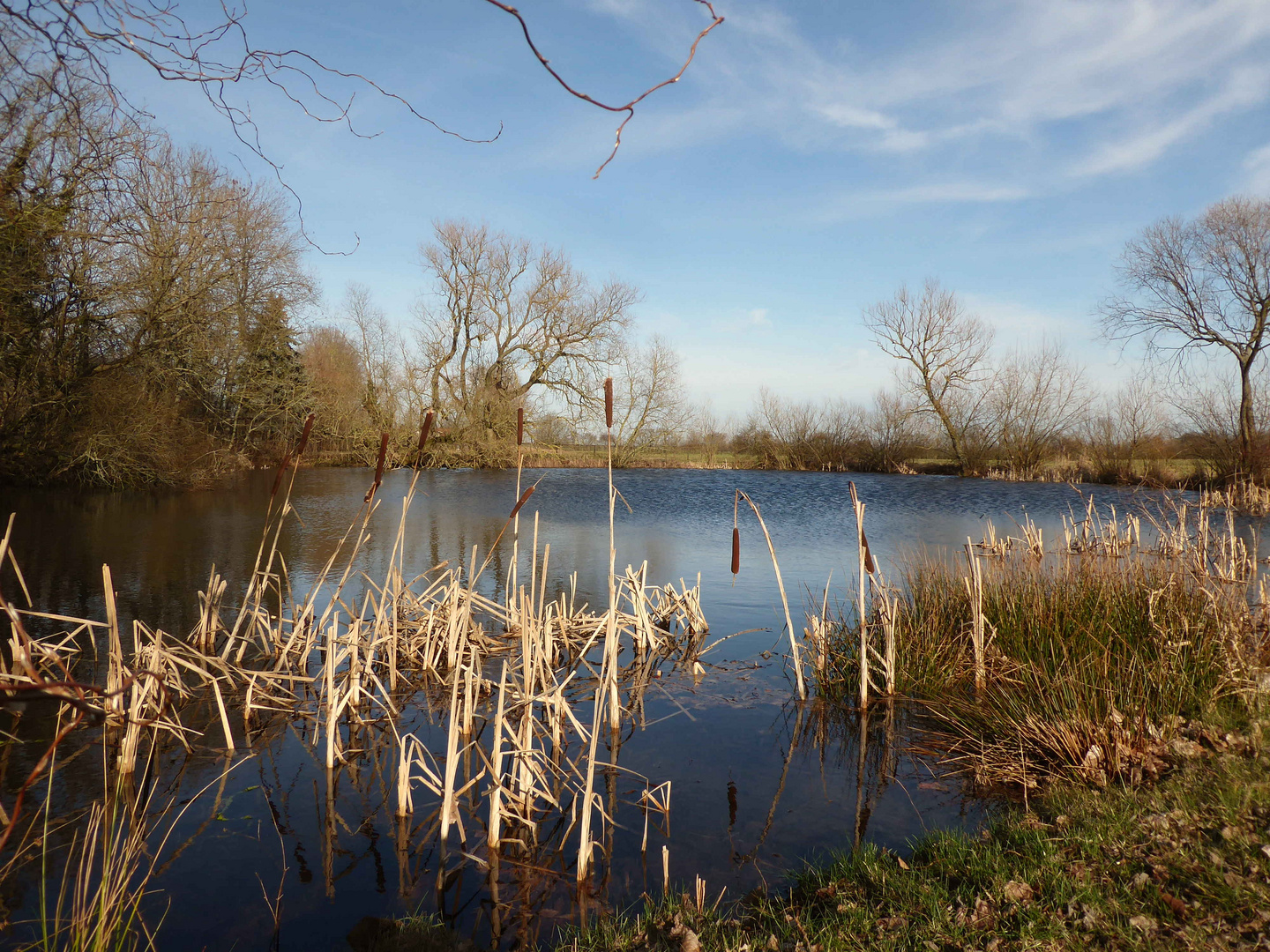 Am Teich