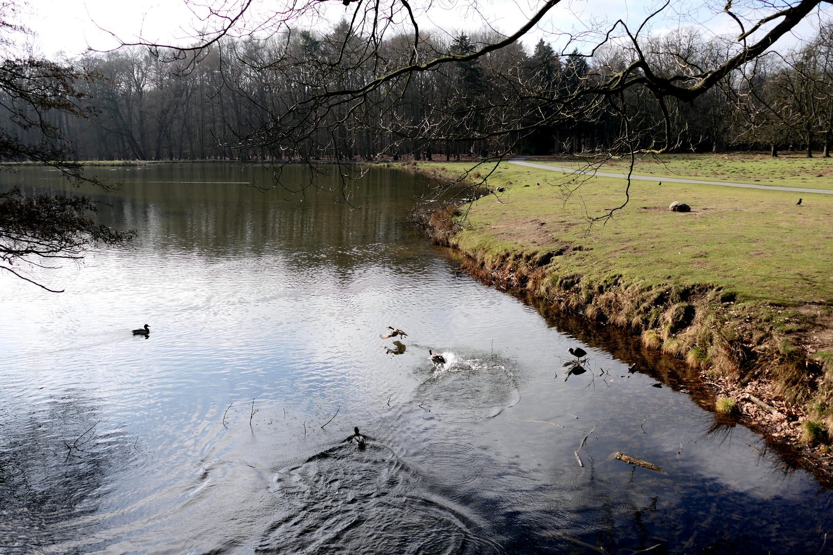 Am Teich