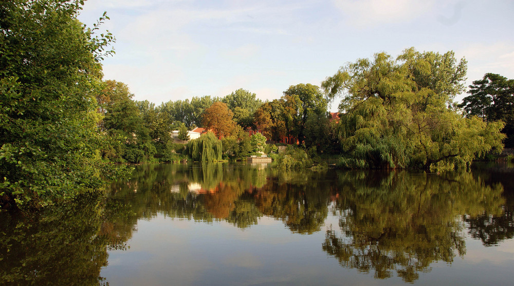 Am Teich