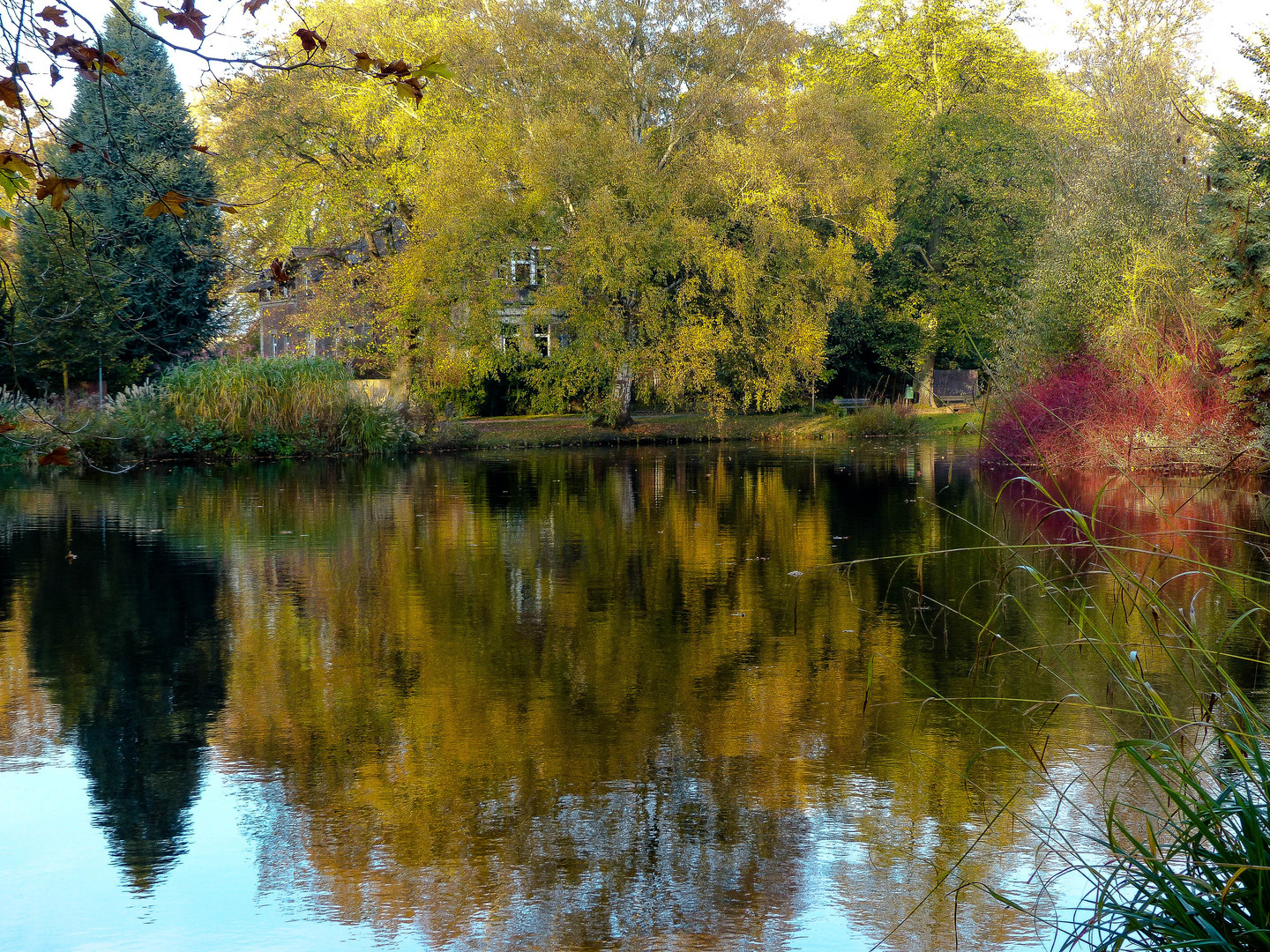 Am Teich