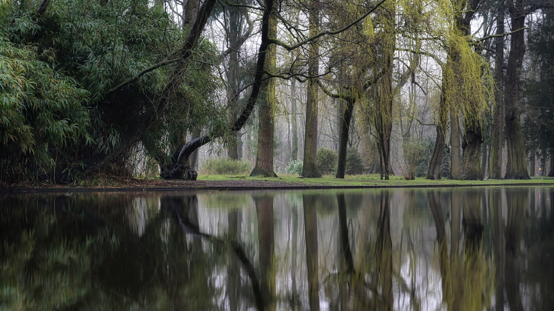 Am Teich