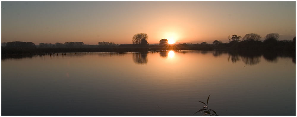 Am Teich