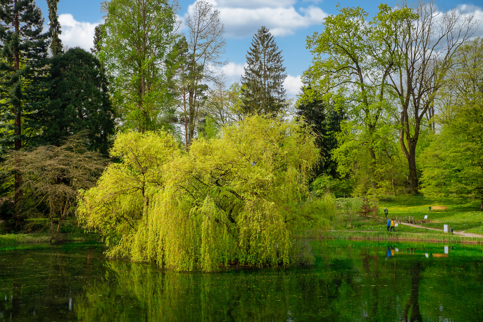 Am Teich des Botanisches-Garten in Münster.