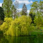 Am Teich des Botanisches-Garten in Münster.