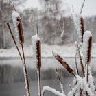 Am Teich