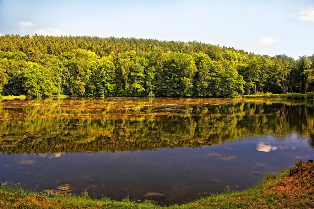 Am Teich