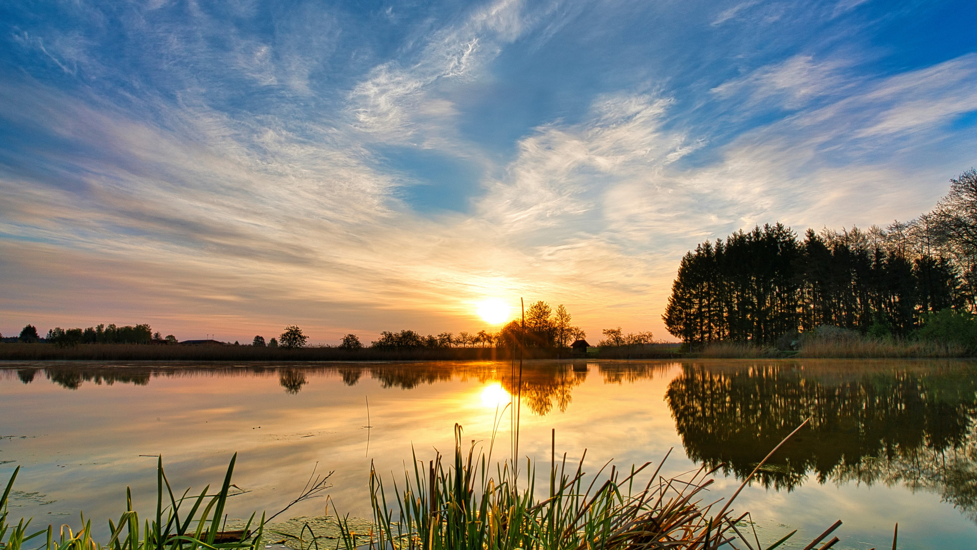 Am Teich