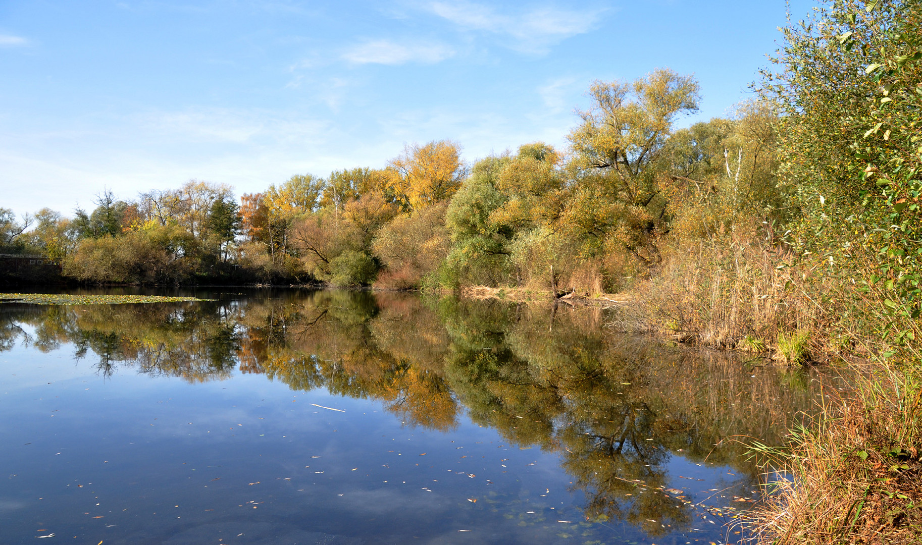 Am Teich Foto & Bild bäume, sonne, teich Bilder auf